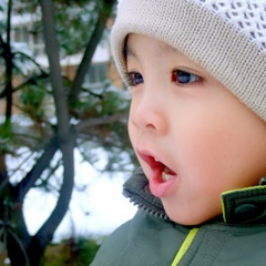 对风说爱你奉先（幼年）