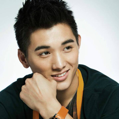 武术之少年行李一