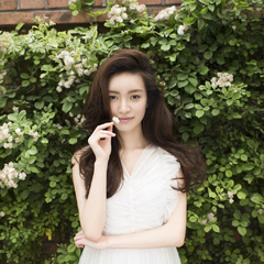 金陵十三钗秦淮河女人