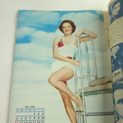 七武士、七侠四义（香港）利吉之妻