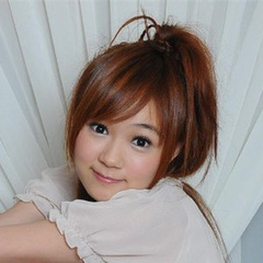 宝岛双雄导购员