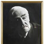 野草莓Dr.IsakBorg