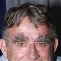 疯狂的麦克斯PoliceCommissionerLabatouche