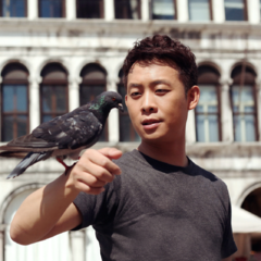 奔爱周宏毅