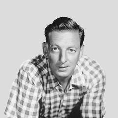 绿野仙踪TheScarecrow