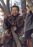 刑事演员表安捕头剧照图片