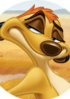 狮子王演员表丁满剧照图片