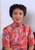 倾城之恋演员表徐太太剧照图片