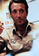 大白鲨演员表马丁·布罗迪剧照图片