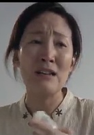 警花燕子演员表田燕妈剧照图片