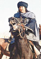 龙腾虎跃演员表陆正阳剧照图片