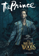 魔法黑森林演员表灰姑娘的王子剧照图片