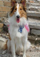 阿宝的故事演员表嘉嘉剧照图片