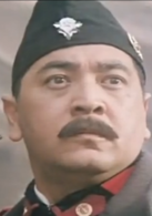 现代豪侠传演员表军长剧照图片