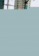 老港正传演员表左向港（老港）剧照图片