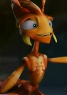 别惹蚂蚁演员表Nicky剧照图片