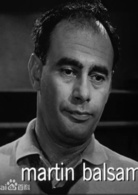 十二怒汉演员表1号陪审员剧照图片