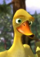 丛林有情狼演员表Paddy剧照图片