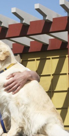 10个约定演员表齐藤祐市剧照图片