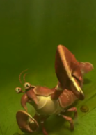 萨米大冒险2演员表璐璐剧照图片