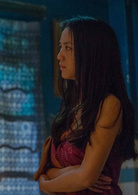 骇客交锋演员表利恩剧照图片