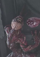 生化危机：诅咒演员表舔食者剧照图片