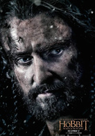 霍比特人：五军之战演员表索林·橡木盾剧照图片