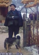 秋菊打官司演员表王善堂剧照图片