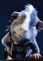 豚鼠特工队演员表华雷斯剧照图片