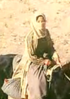 龙腾虎跃演员表柳如燕剧照图片