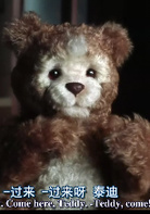 人工智能演员表泰迪剧照图片