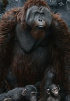 猩球崛起：黎明之战演员表莫里斯剧照图片