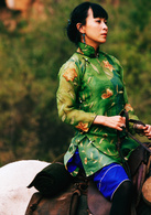 让子弹飞演员表县长夫人剧照图片