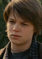 我家买了动物园演员表狄伦·米尔剧照图片