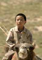 家在水草丰茂的地方演员表阿迪克尔剧照图片