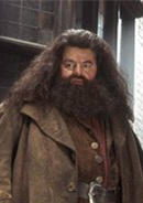 哈利·波特与密室演员表鲁伯·海格剧照图片