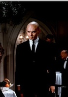 真假公主演员表波宁将军剧照图片