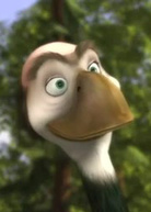 丛林有情狼演员表Marcel 剧照图片