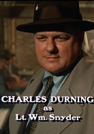 骗中骗演员表施耐德剧照图片