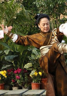 杨门女将之军令如山演员表杨大娘剧照图片