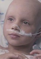 破碎之家演员表梅贝尔剧照图片