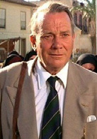 夺宝奇兵3之圣战奇兵演员表马克思布诺迪剧照图片