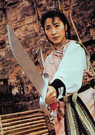 咏春演员表严咏春剧照图片