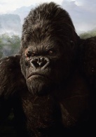 金刚演员表金刚剧照图片