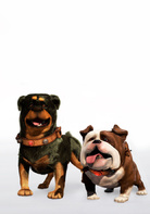 飞屋环游记演员表Beta、Gamma剧照图片