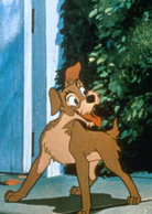 小姐与流氓演员表流浪汉剧照图片