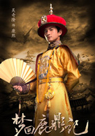 梦回鹿鼎记演员表康熙剧照图片