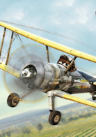 飞机总动员演员表利德包托姆剧照图片