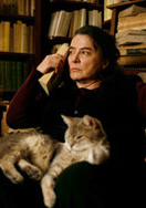 刺猬优雅演员表荷妮剧照图片