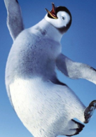 快乐的大脚2演员表格洛丽亚剧照图片